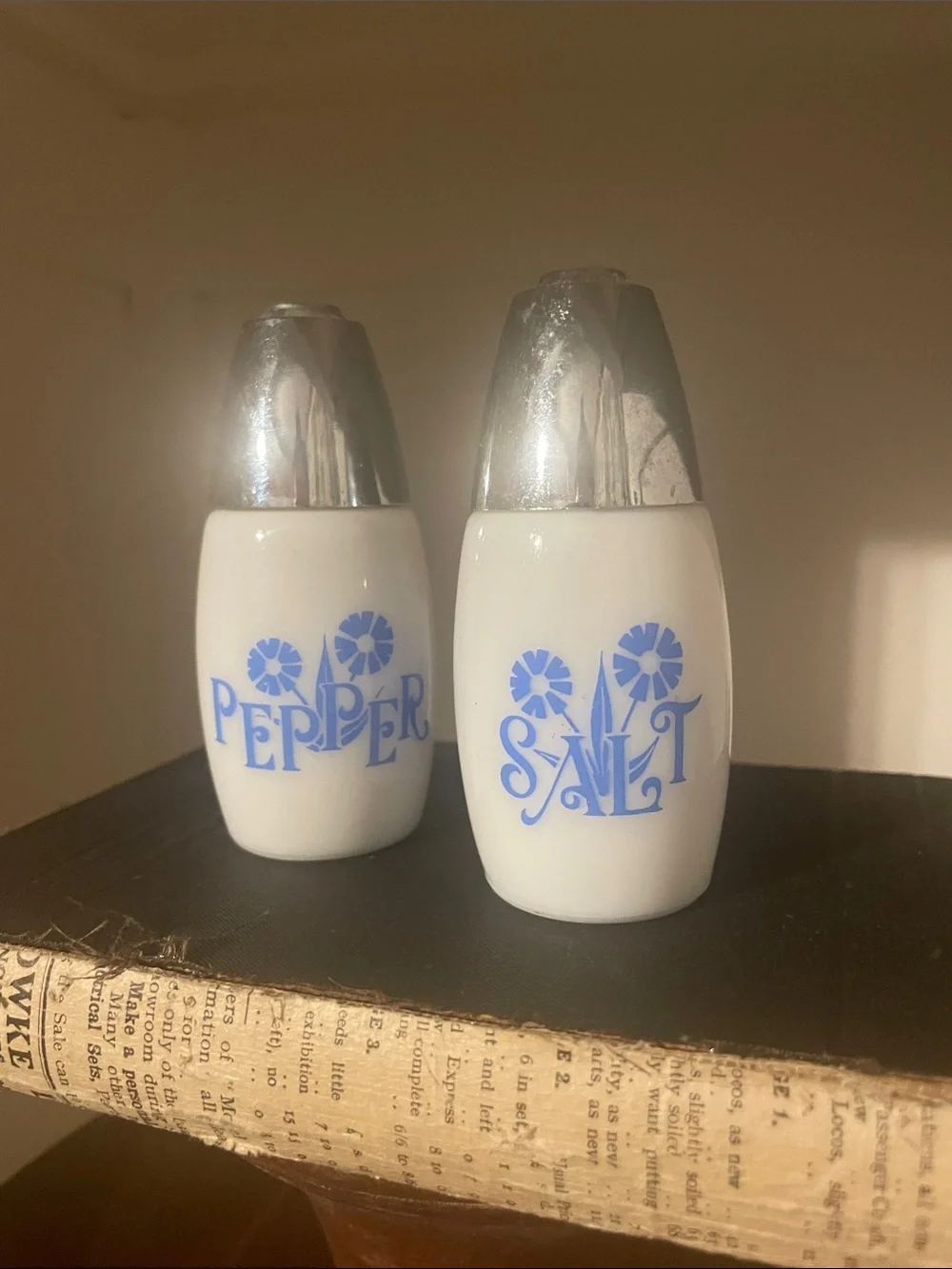 Vintage Blue & White Salt and Pepper Shaker Set
